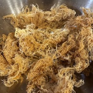 Raw Dried Sea Moss