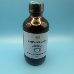Marshmallow Root (Althaea officinalis)